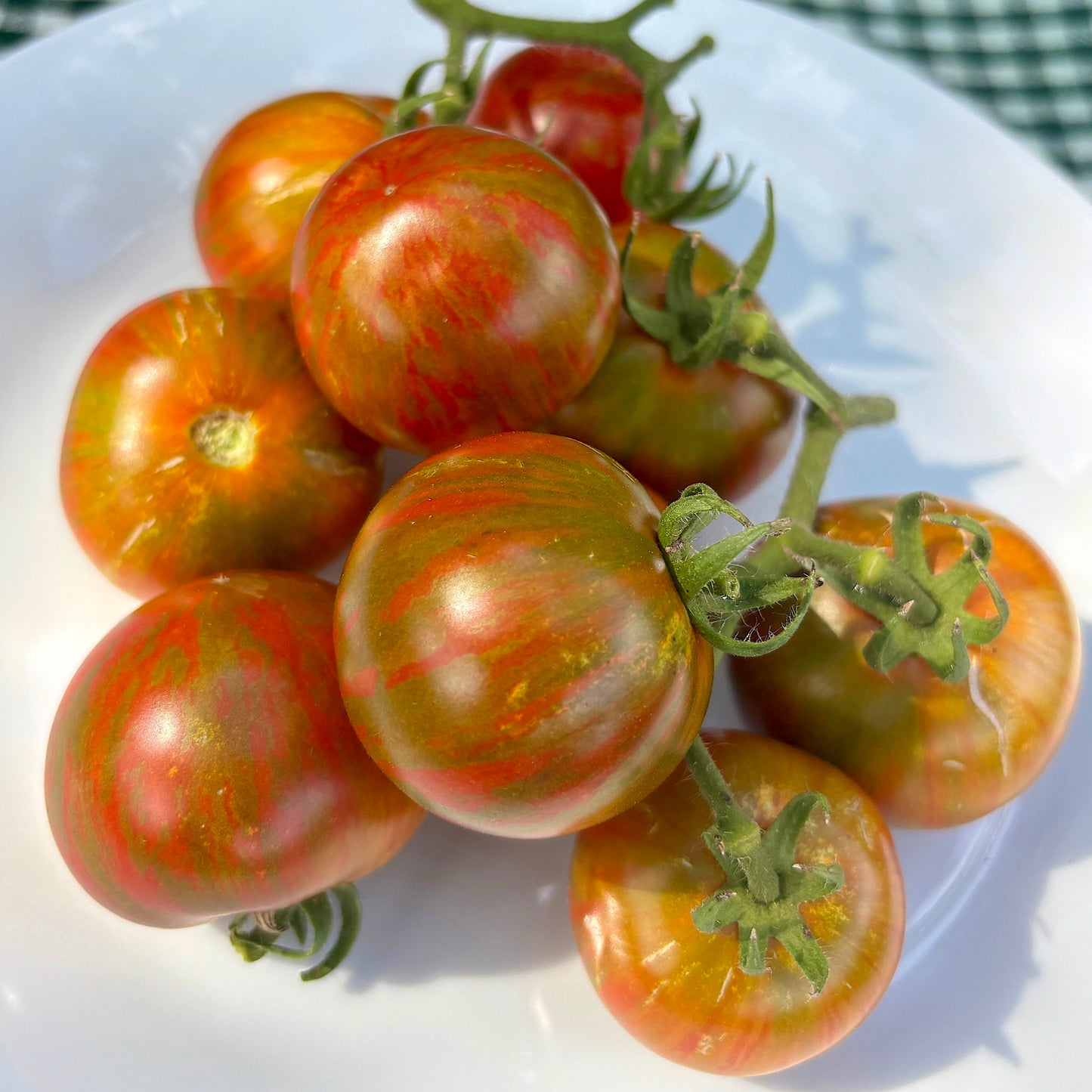 ROUND ROBIN DWARF TOMATO SEEDS