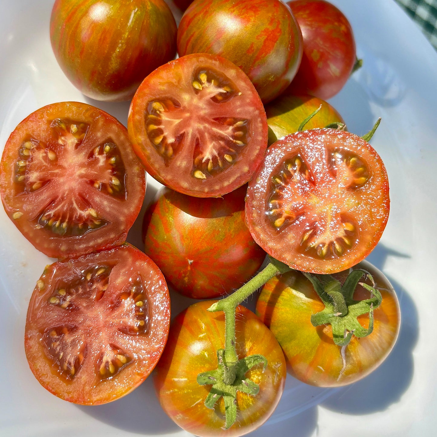 ROUND ROBIN DWARF TOMATO SEEDS