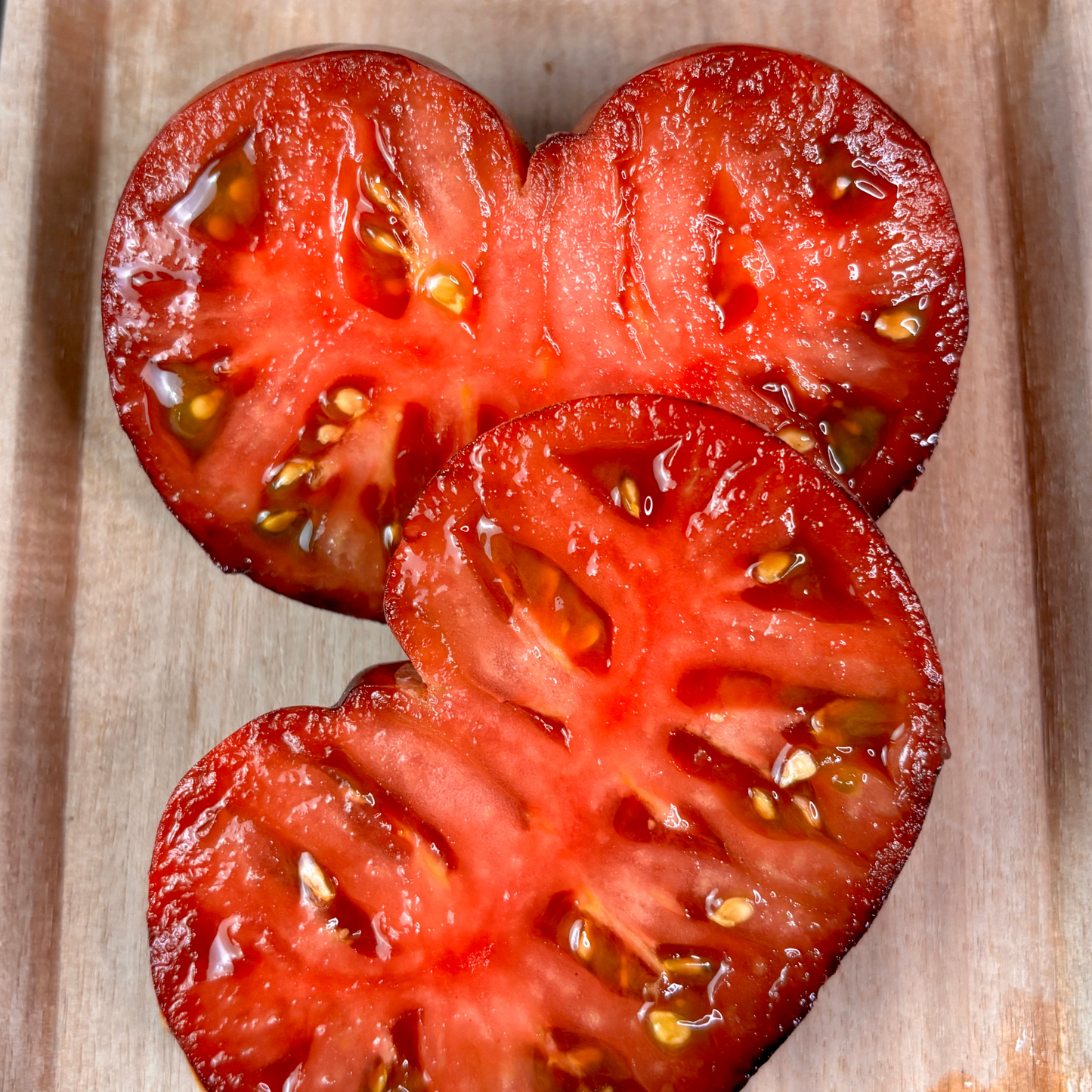 LULLABY TOMATO SEEDS BY BILL YODER