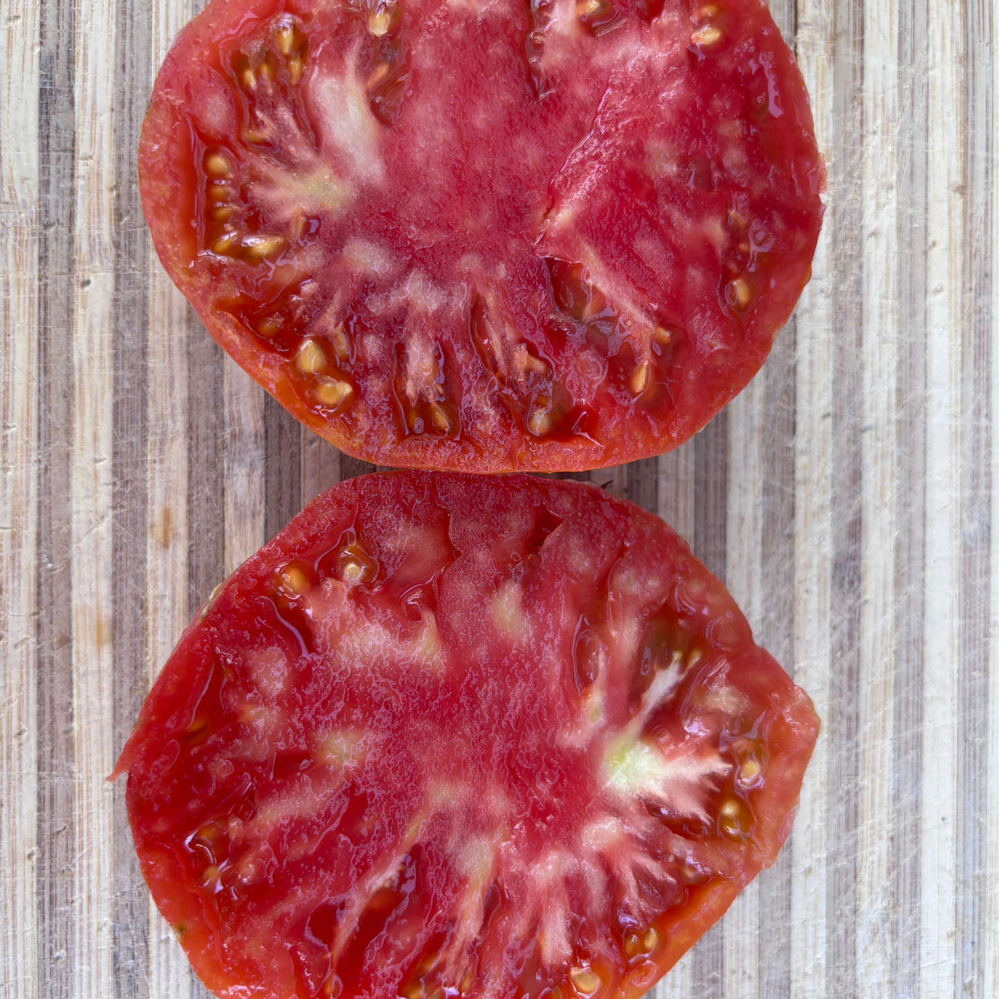 EVERYTHING COUNTS TOMATO SEEDS BY BILL YODER