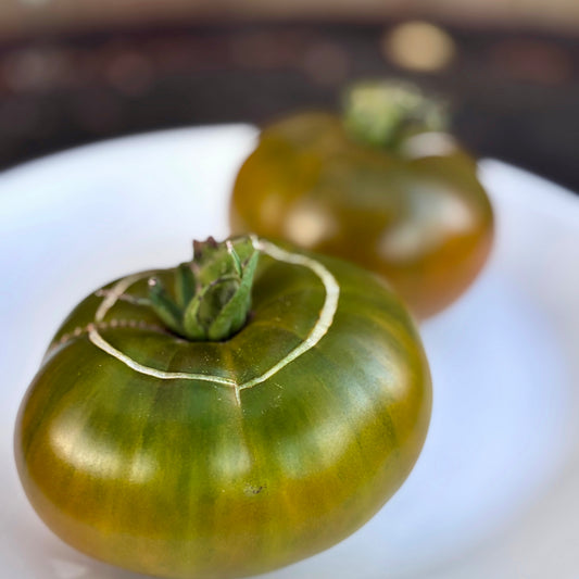 622-08 DWARF UKRANIAN TOMATO SEEDS