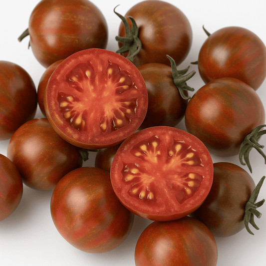 Dark Stripe Dwarf Tomato Seeds