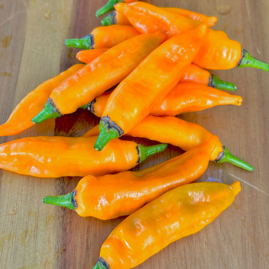 AJI MANGO PEPPER SEEDS