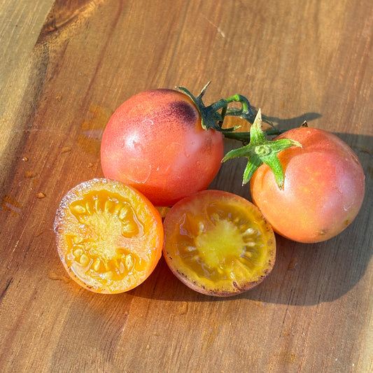 RIO TOMATO SEEDS BY BILL YODER