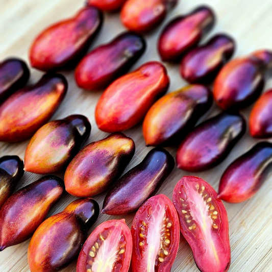 ANTHO PINK PANTHER DWARF TOMATO SEEDS