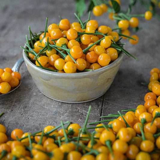 AJI CHARAPITA PEPPER SEEDS