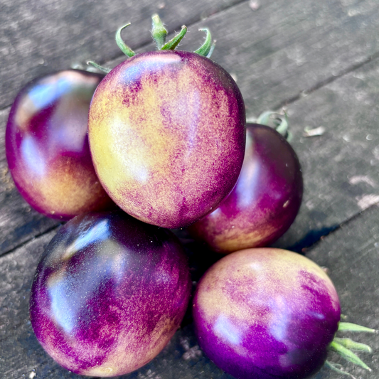 INTERGALACTIC TOMATO SEEDS BY BILL YODER